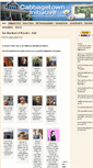Mobile Screenshot of cabbagetowninitiative.org